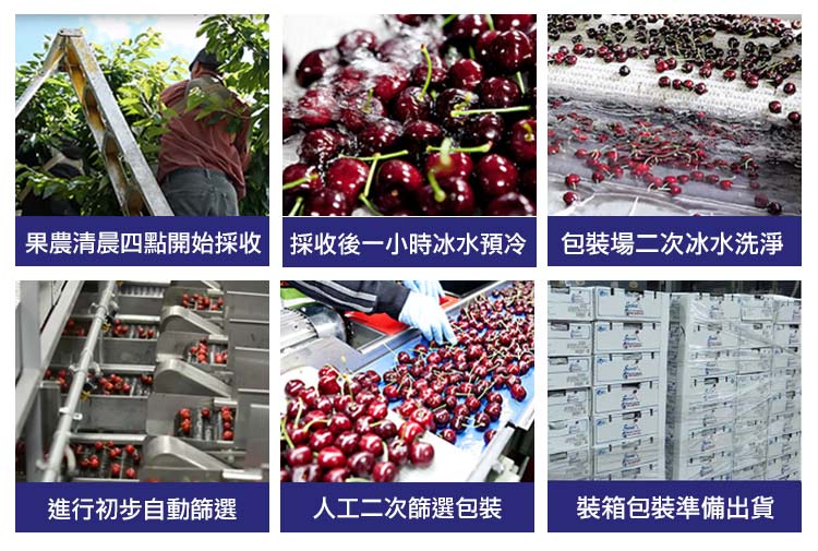【享吃鮮果】美國9ROW華盛頓櫻桃1kg 進口櫻桃 盒裝櫻桃