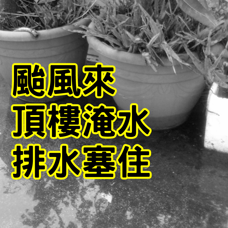 不鏽鋼防堵排水器排水罩