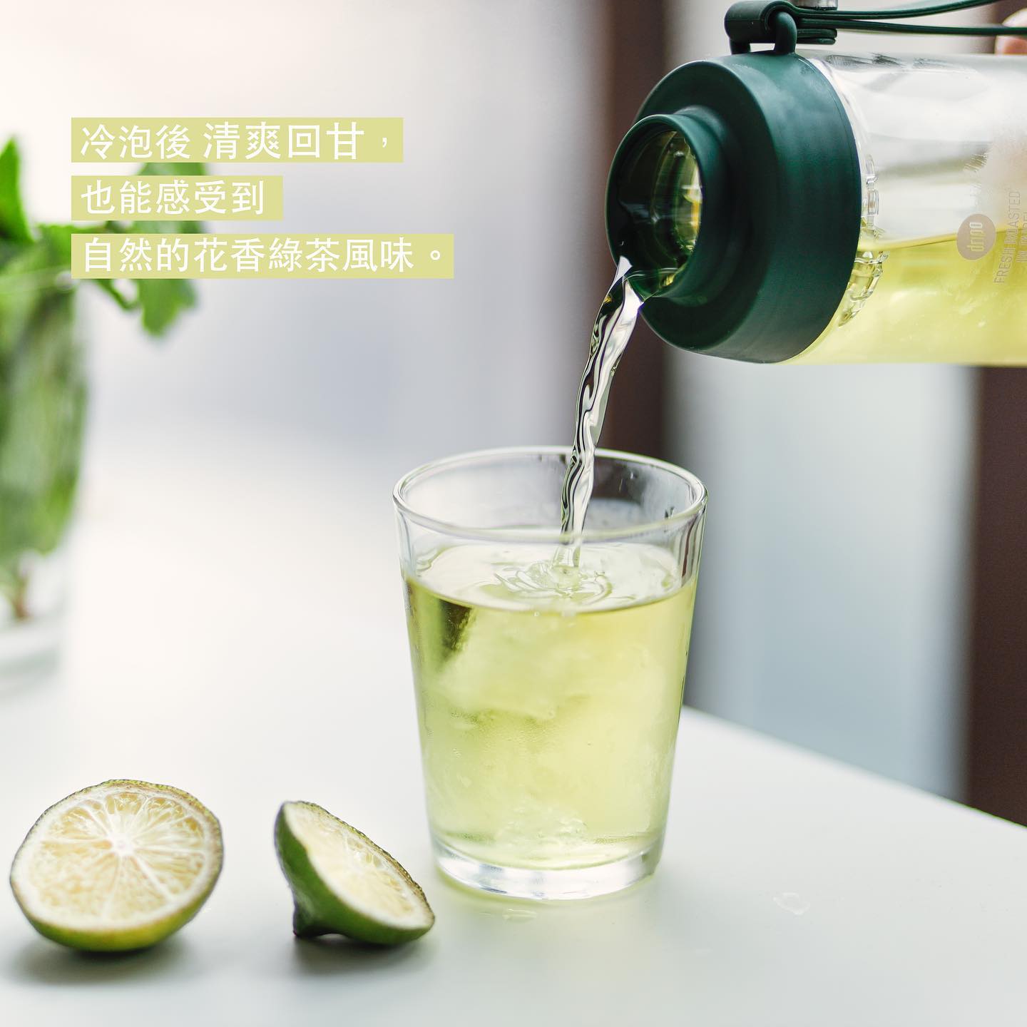 【Dripo】沢笠製茶所冷泡茶 大梔子花綠茶/紅蜜烏龍/玄米綠茶/不知春四季青