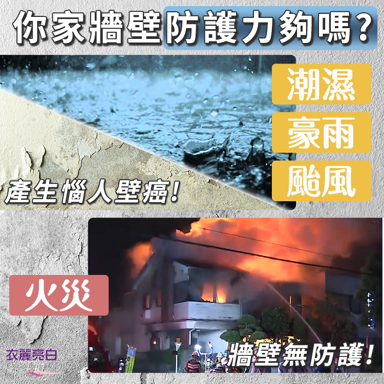 【衣麗亮白】 防水耐火壁癌噴450ml(百合白)x2入