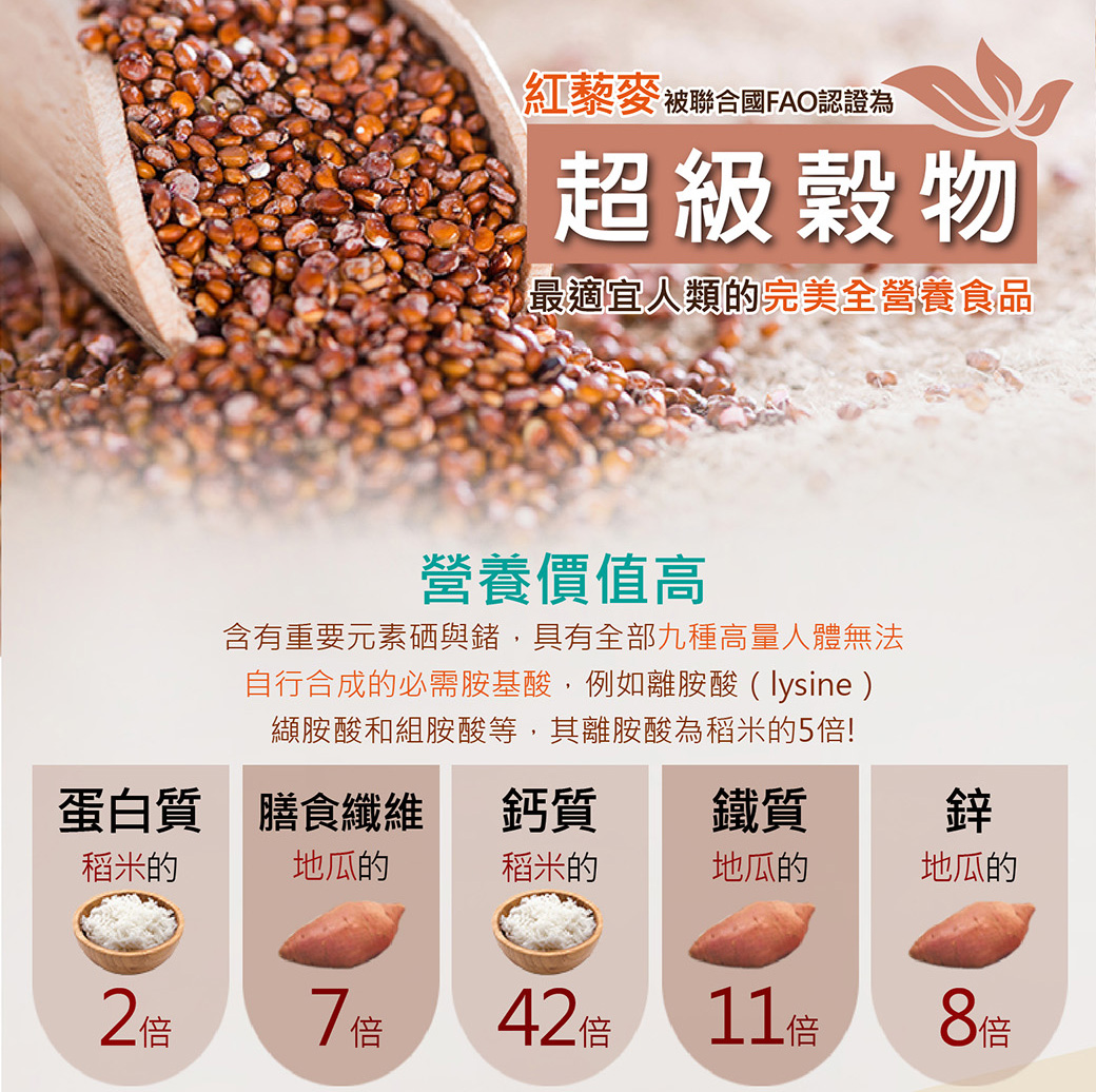 超級穀物藜麥千層棒130g (10份/袋) 四種口味任選 低熱量／高蛋白／輕食