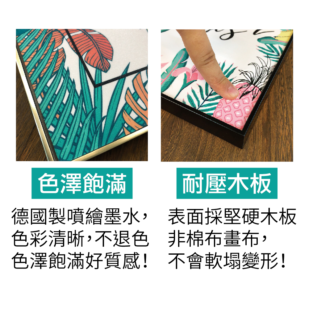 TROMSO北歐生活板畫有框畫 -19x29三幅一組晶鑽畫/綠葉粉紅動物海洋都會
