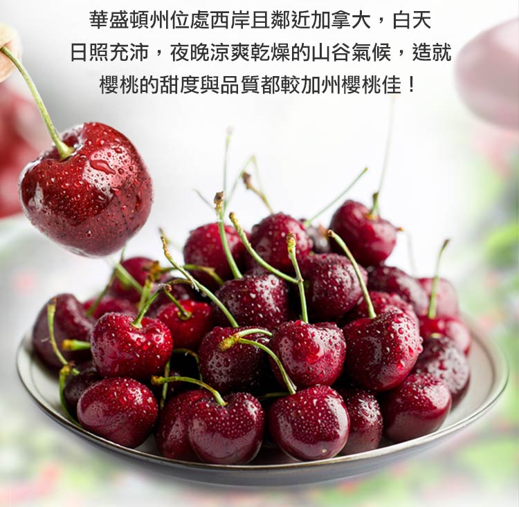 【享吃鮮果】美國9.5ROW華盛頓櫻桃1kg 盒裝櫻桃 進口櫻桃