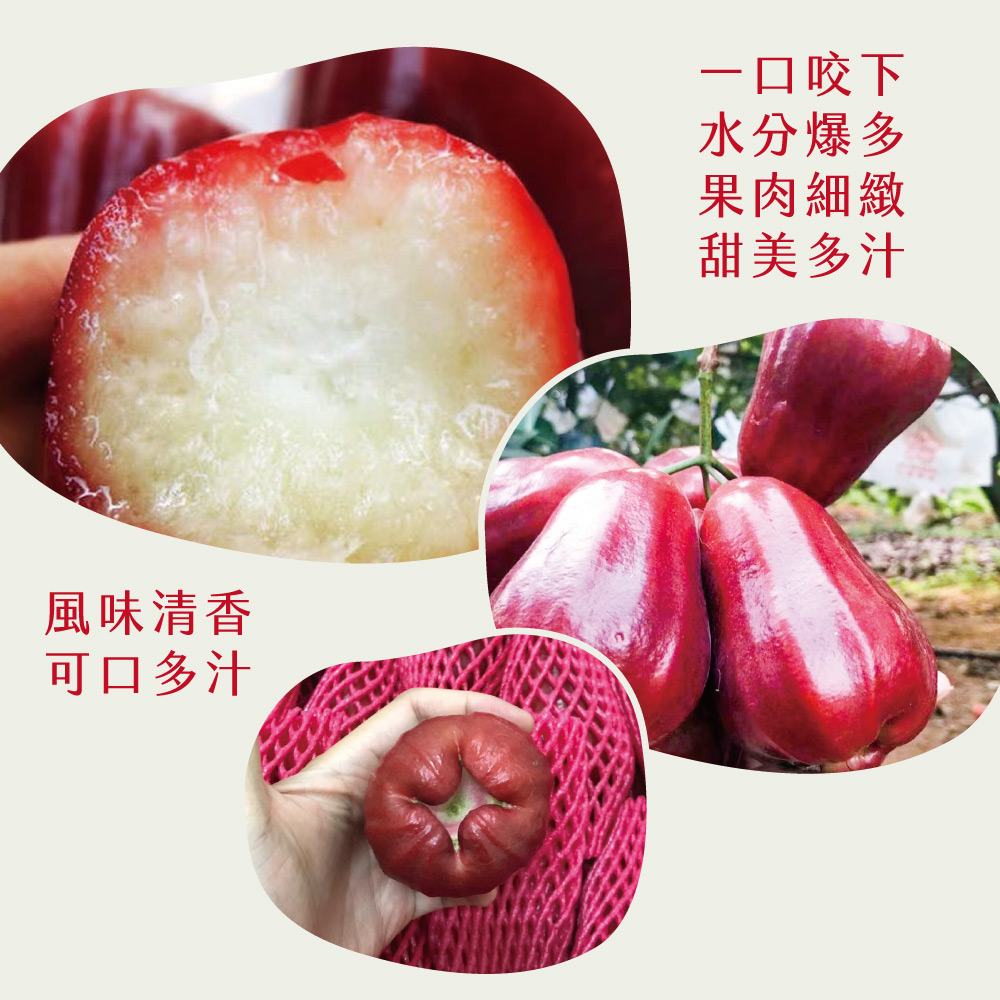 【初品果】高雄六龜子彈蓮霧2斤/4斤禮盒