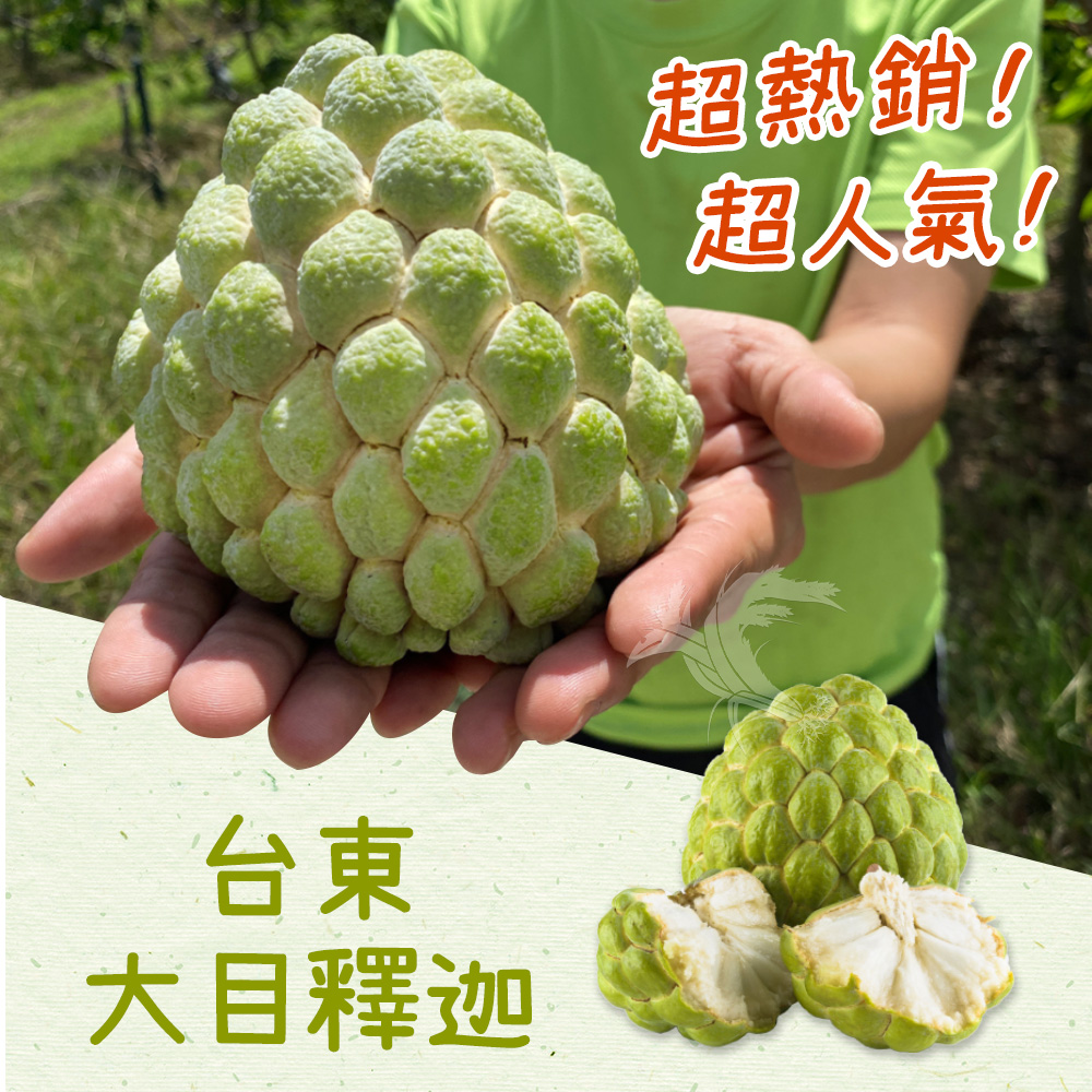  【禾鴻】台東優質大目釋迦5斤／10斤 林檎 番荔枝 水果