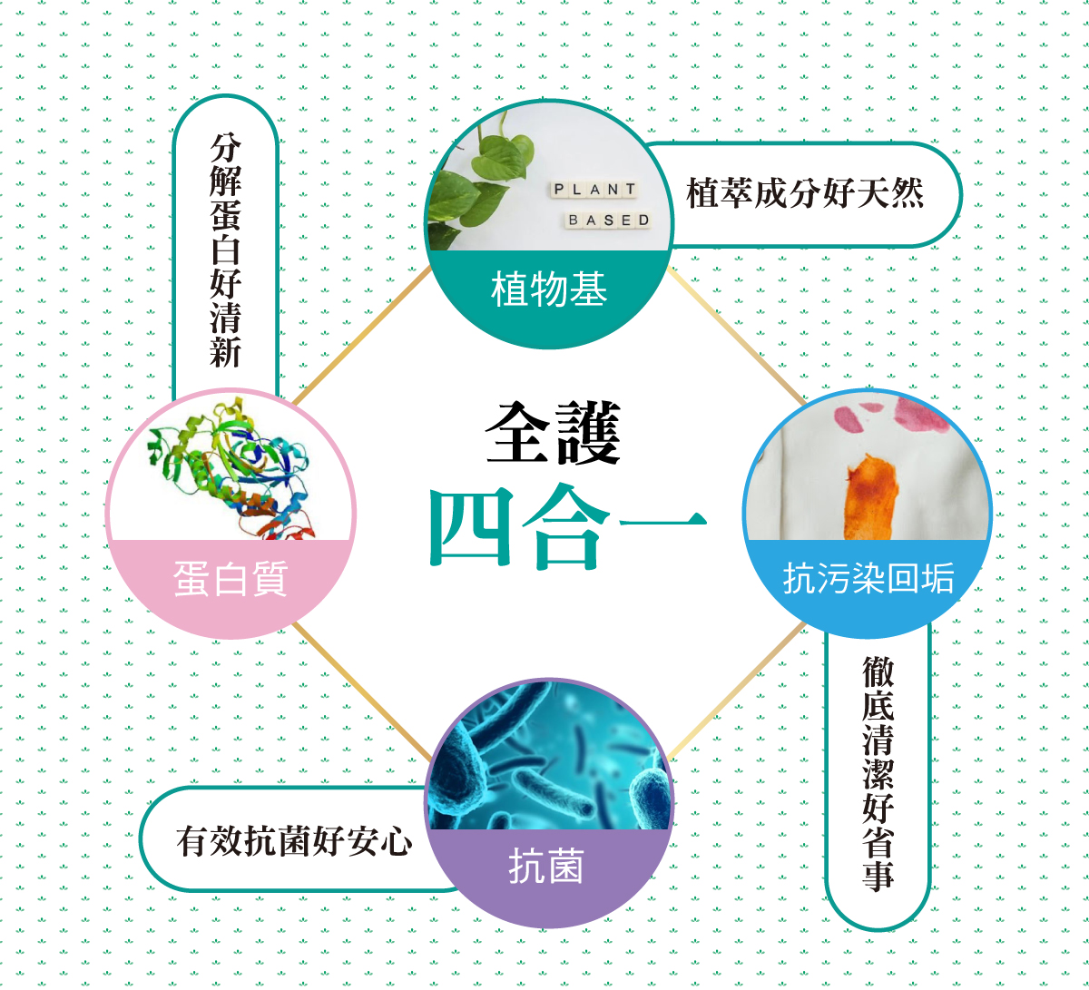 【南紡購物中心】 頂級小蒼蘭香氛氛圍，全護成分(植物基配方、抗汙垢、蛋白酵素及抗