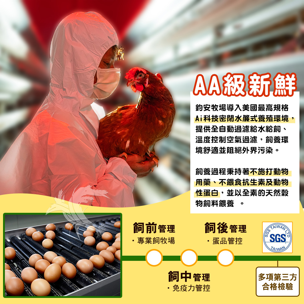 【鈞安牧場】專利配方鎂力機能蛋_紅殼蛋 24顆/箱