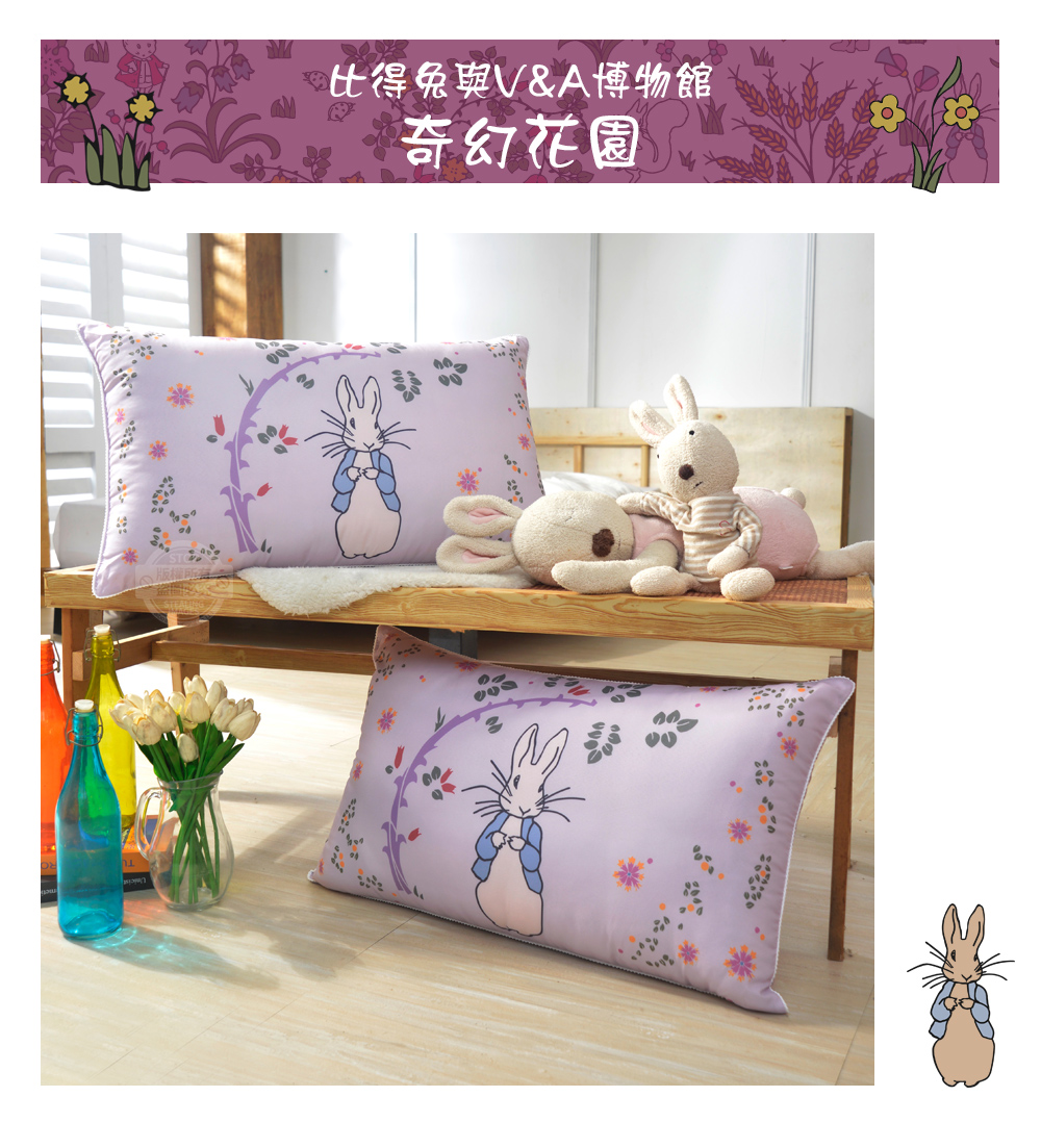 【PETER RABBIT】比得兔V&A博物館聯名抗菌枕 可水洗 台灣製造 枕頭