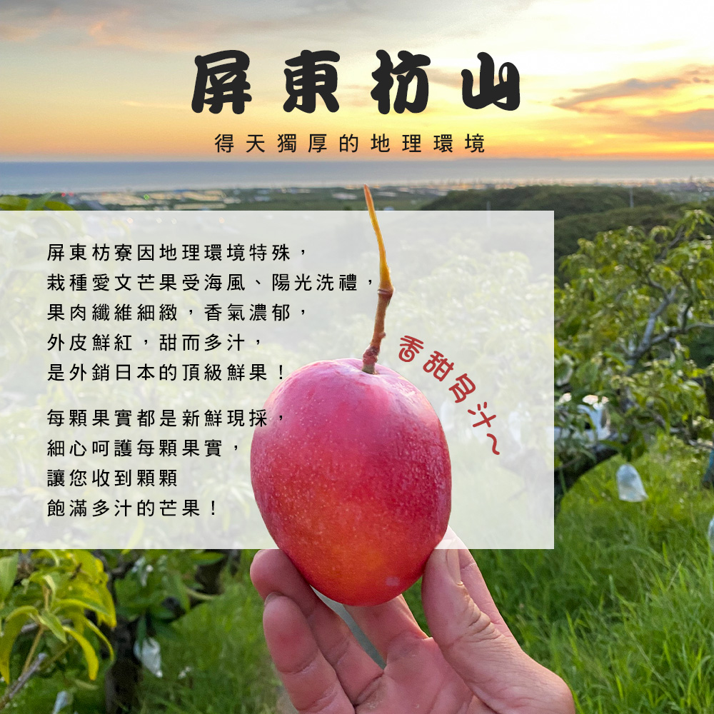 【雪莉朵辣嚴選】屏東枋山愛文芒果5斤裝(大果/小果) 檨仔 夏季水果 箱購水果