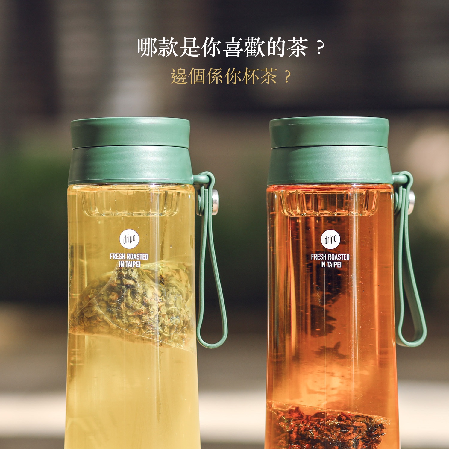 【Dripo】沢笠製茶所冷泡茶 大梔子花綠茶/紅蜜烏龍/玄米綠茶/不知春四季青