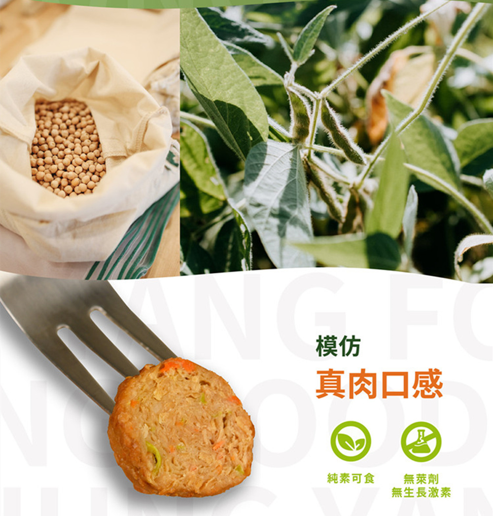 純素【Hoya弘陽食品】植物炸G塊250g/肉丸250g/漢堡排300g任選