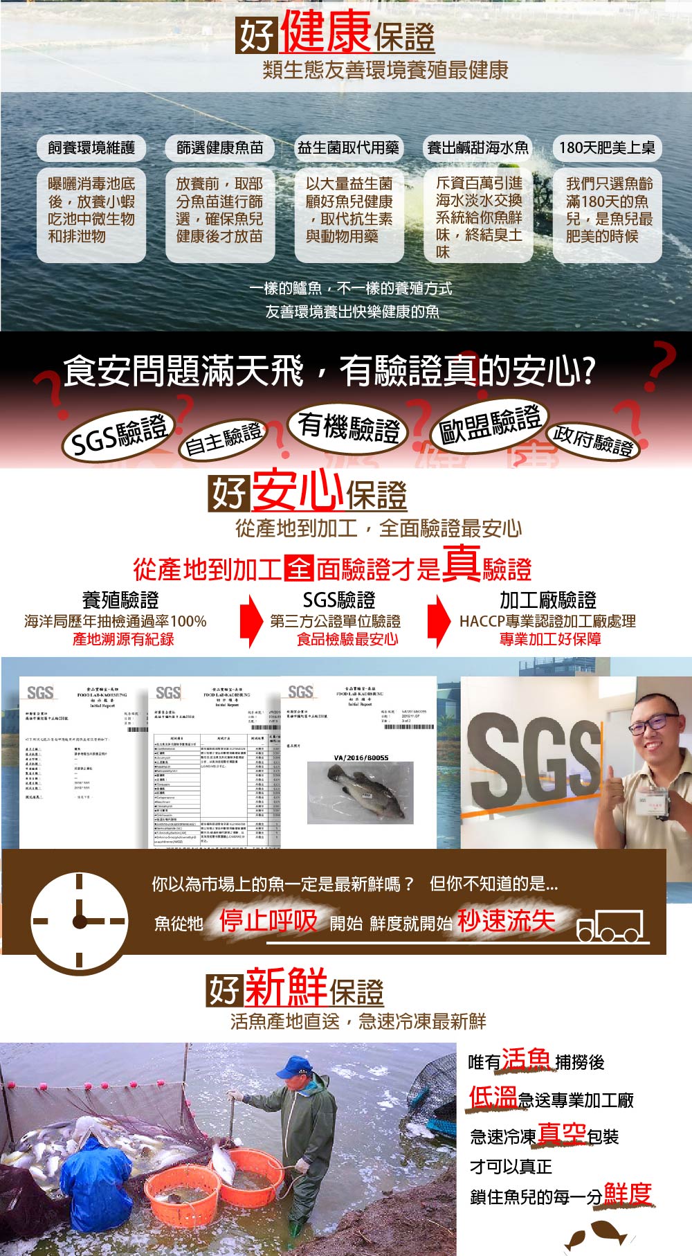 【鱸好家】三代傳承去刺金目鱸魚切片清肉 250g/片