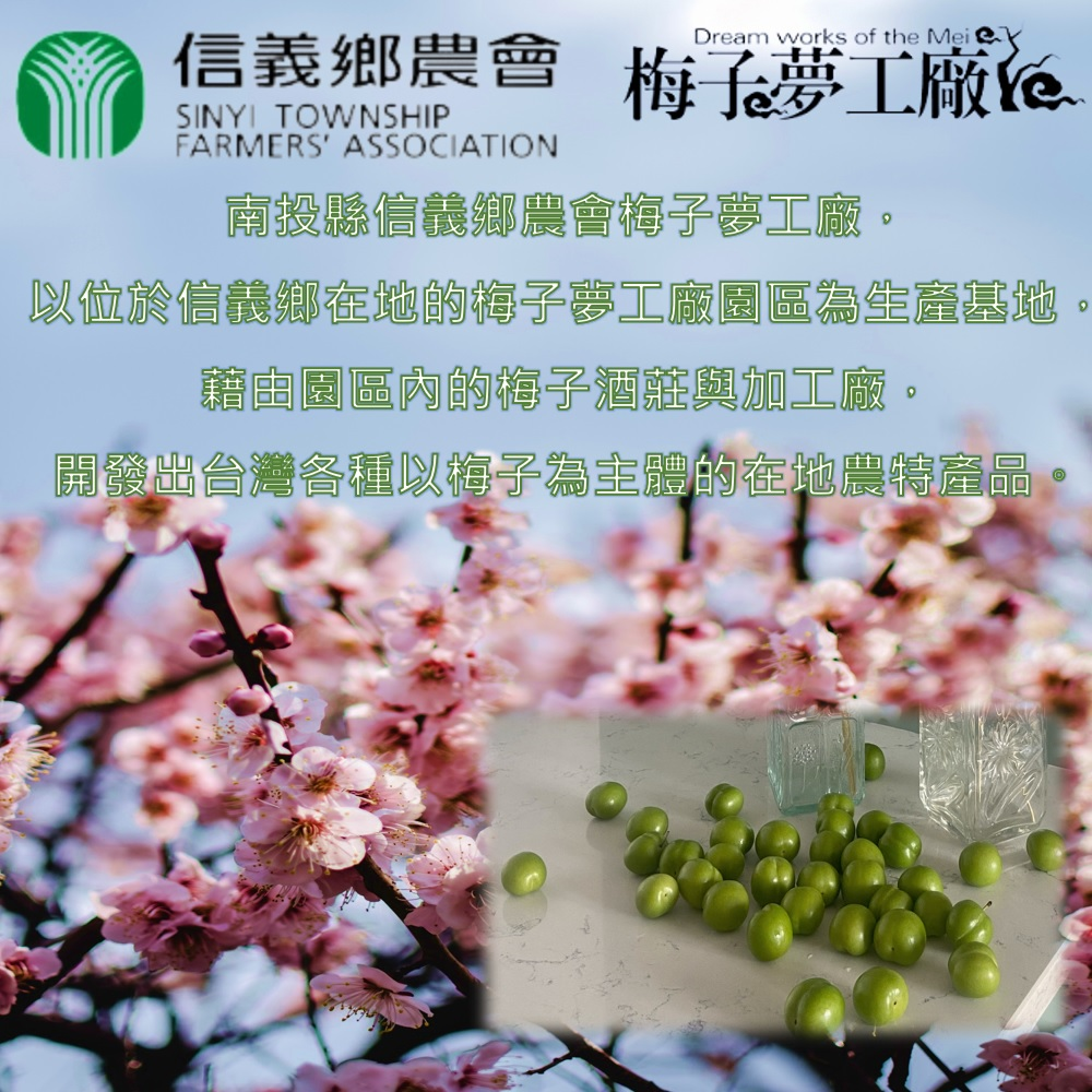 【信義鄉農會】海鹽梅糖100G(25顆/袋) 含濃縮青梅精 清爽酸甜