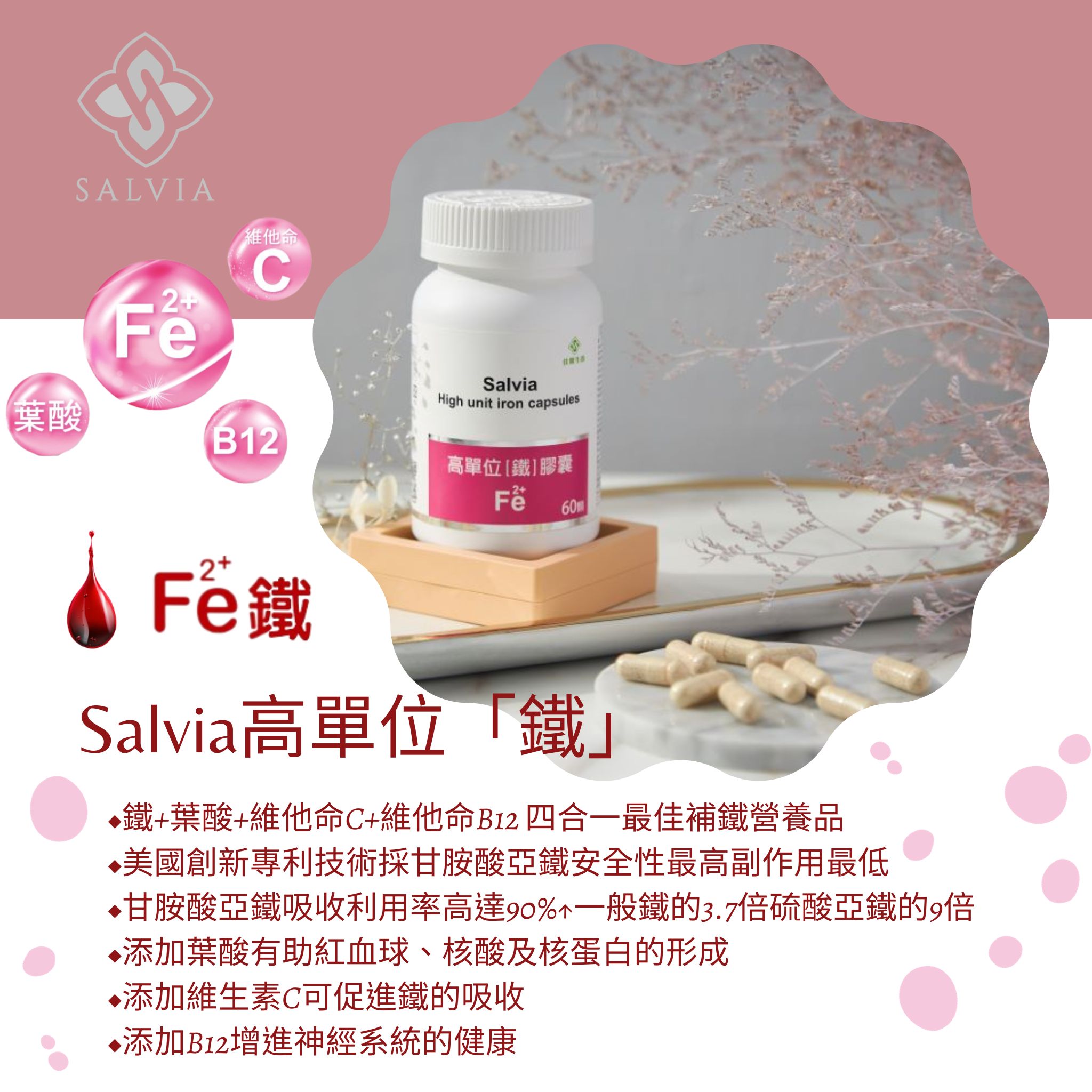 【Salvia】高單位四合一補鐵膠囊(60顆/瓶) 鐵+葉酸+維他命C+B12