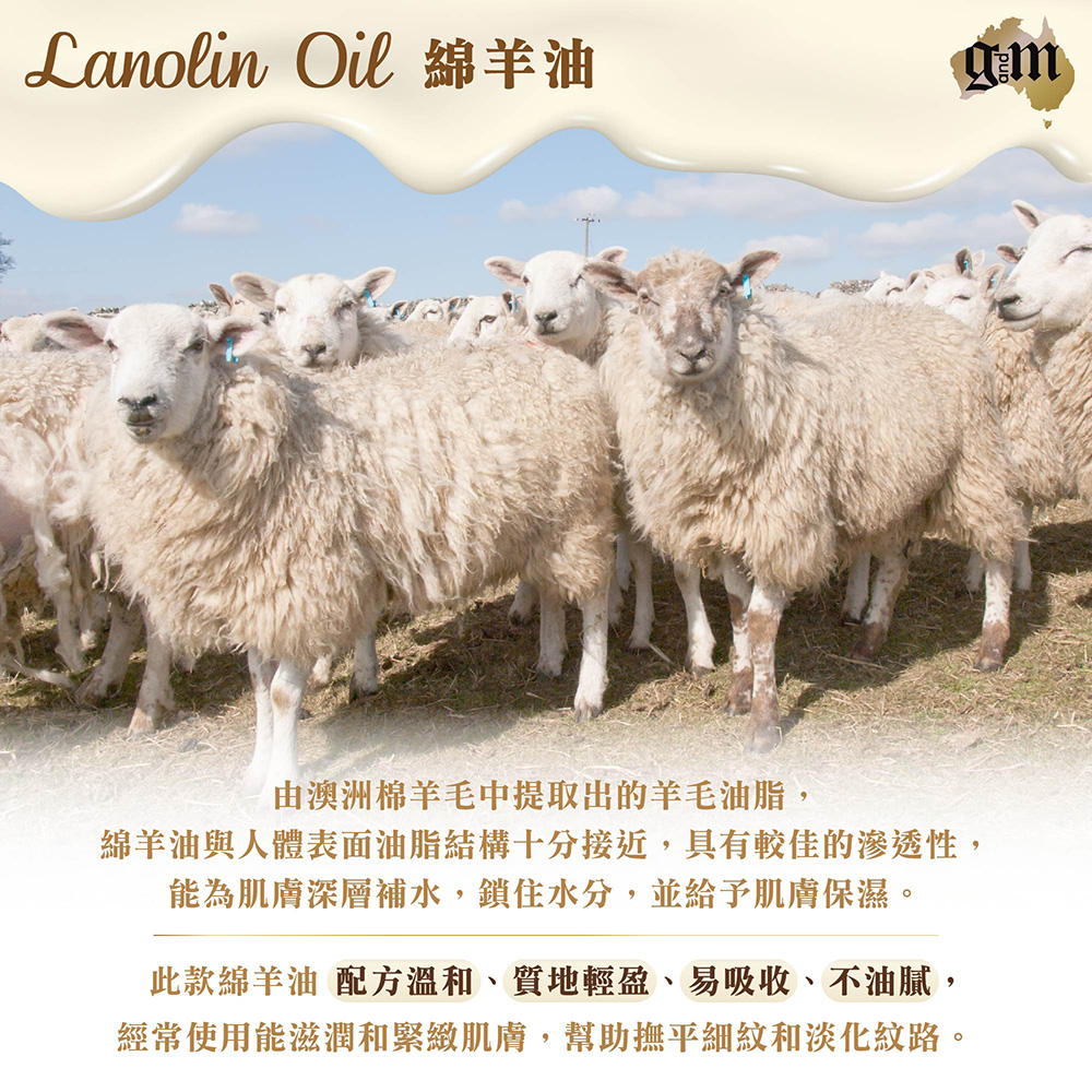       【澳洲G&M】綿羊油滋潤綿羊霜(250g/罐 6入組)