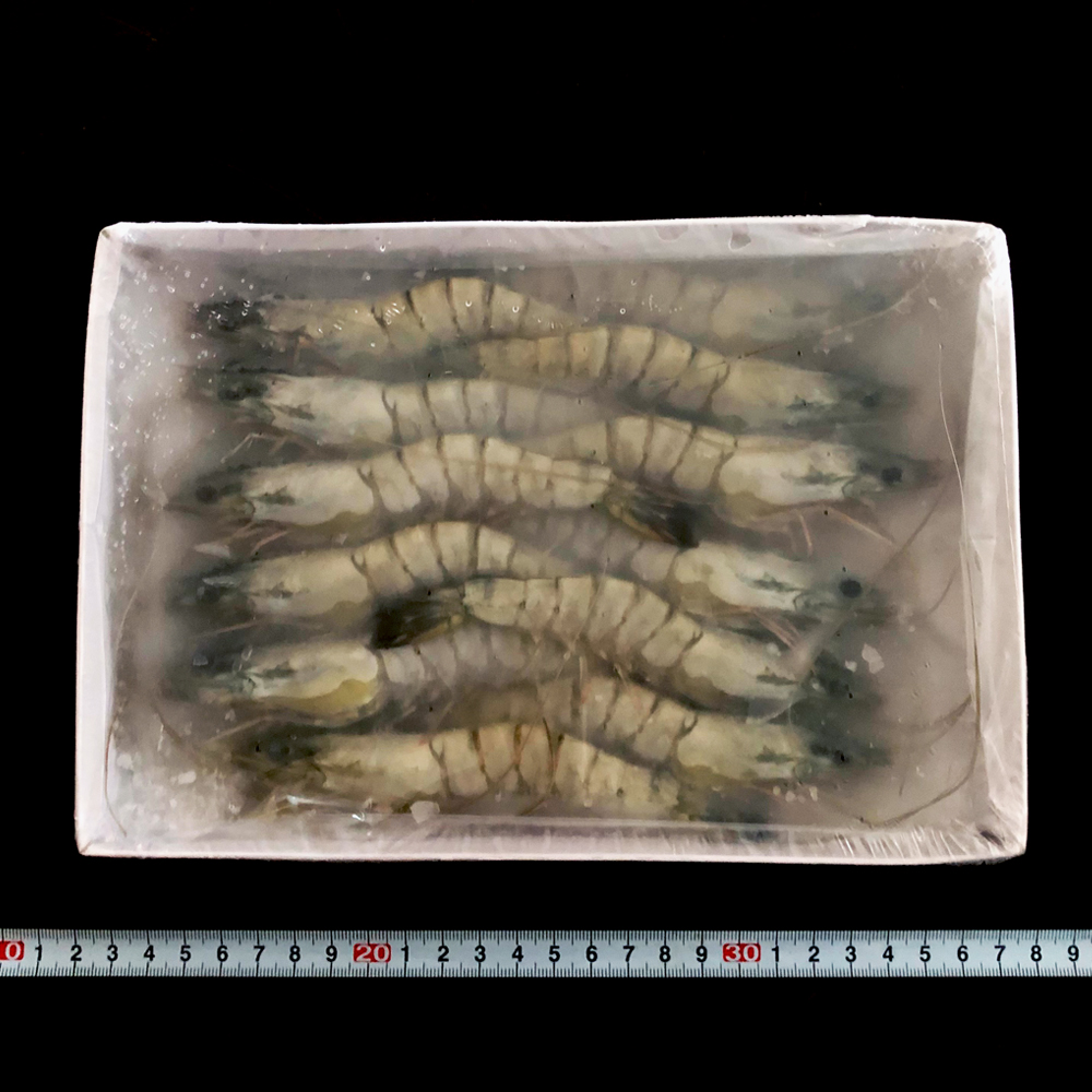 【華得水產】新鮮草蝦12盒組(300g/12-14尾/盒)
