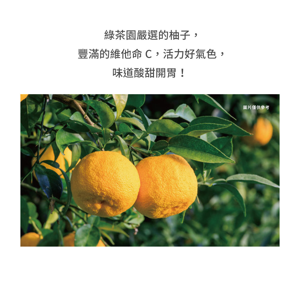 【韓味不二】綠茶園蜂蜜風味茶杯(蜂蜜生薑茶／蜂蜜柚子茶) 沖泡茶 沖泡杯 果醬茶