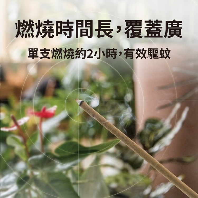 淨化防護艾草香茅香氛條