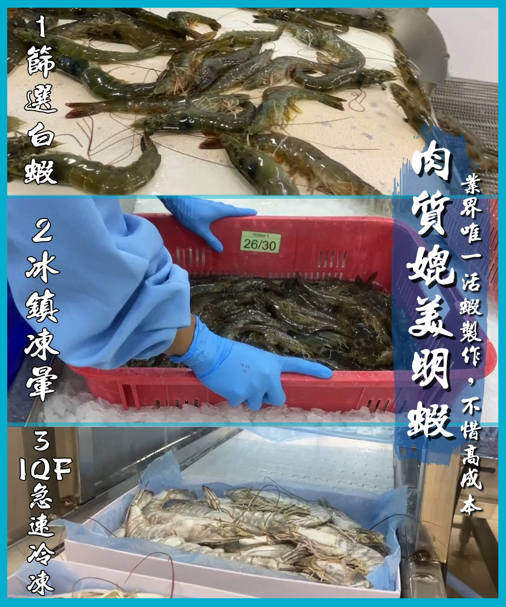 【鮮綠生活】活凍白蝦蝦王爺(600克 每盒約20至23尾)