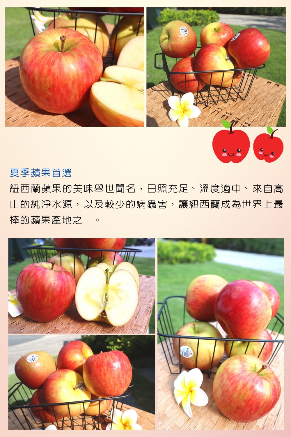 【阿成水果】紐西蘭富士蘋果2.5kg