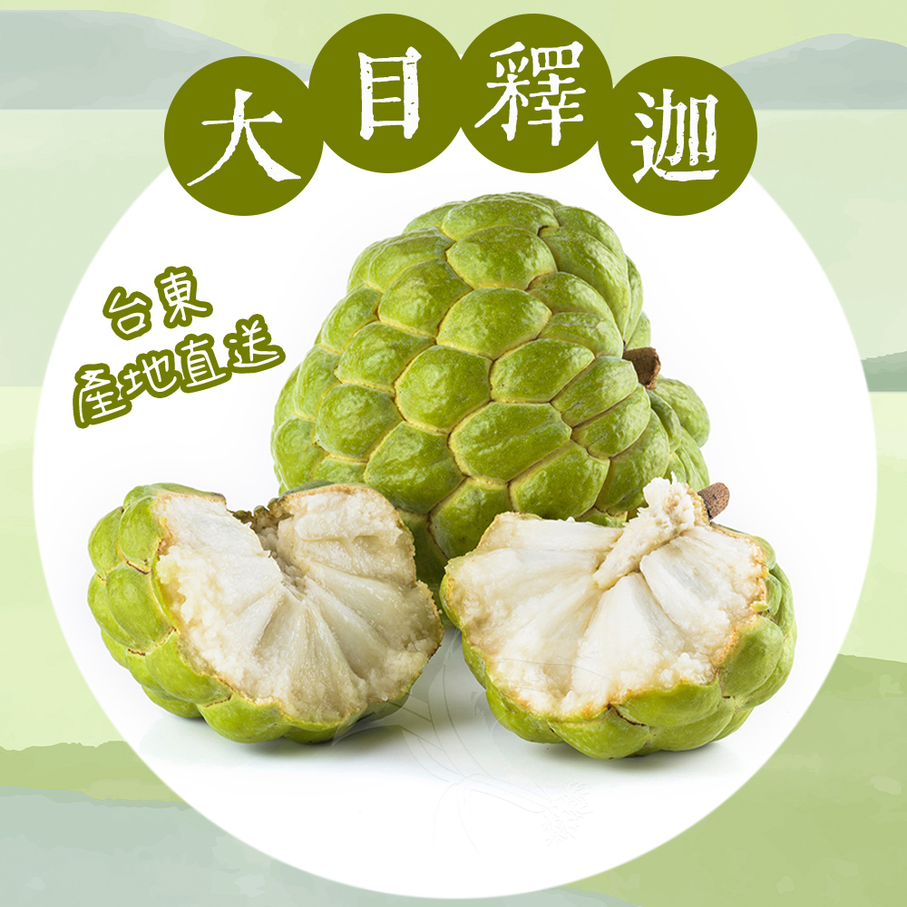  【禾鴻】台東優質大目釋迦5斤／10斤 林檎 番荔枝 水果