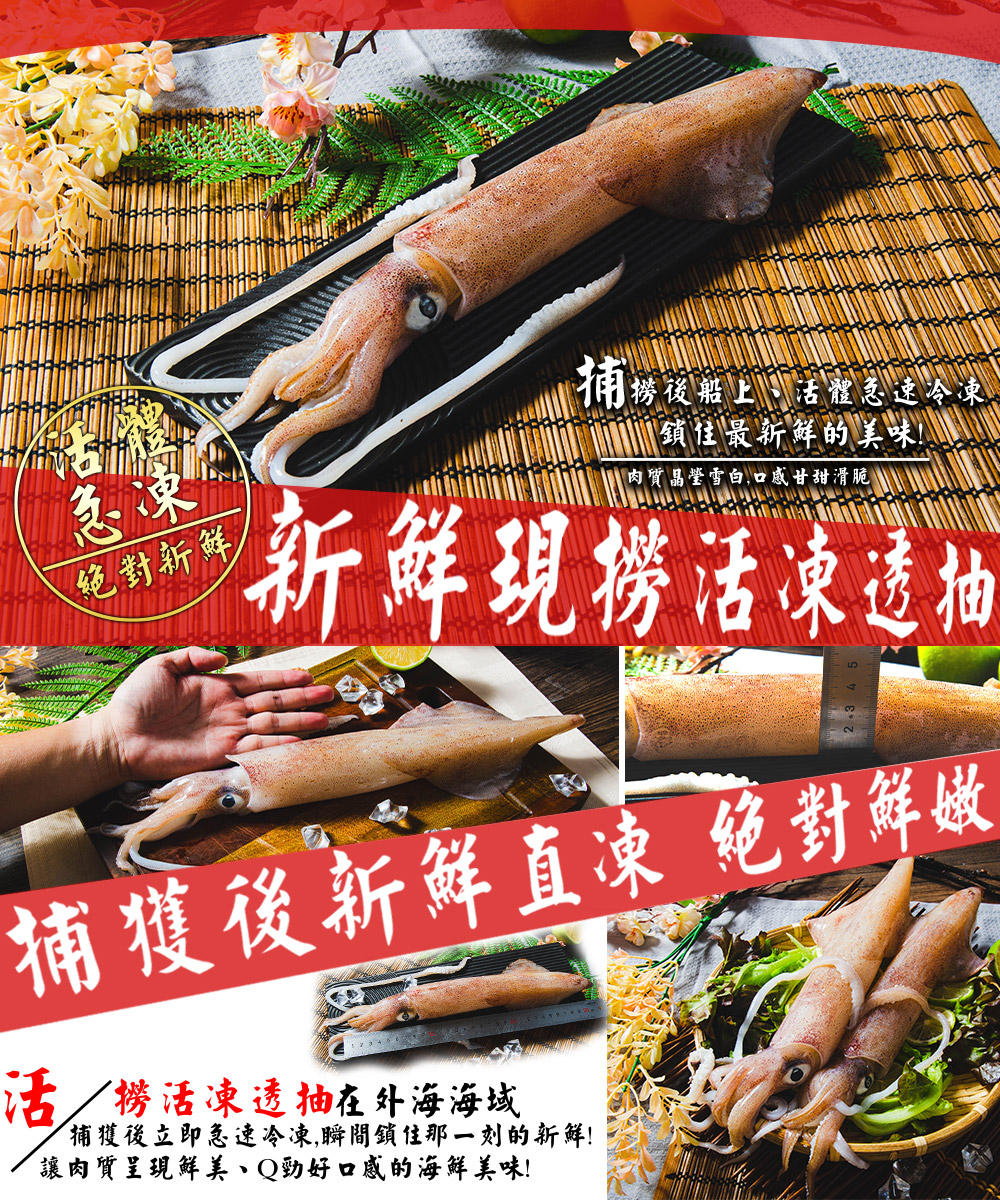 【鮮綠生活】野生船凍透抽500g 26-30公分(2隻入) 花枝 小卷 大卷
