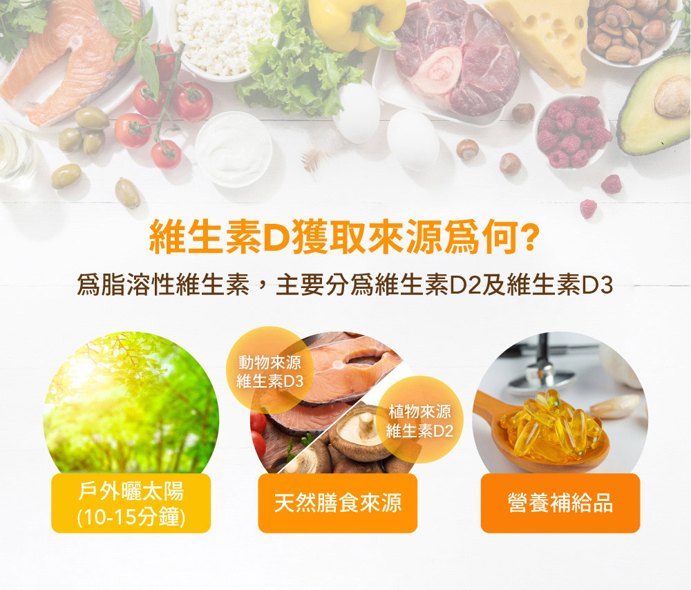       【寶齡富錦】液態維生素D3+Omega3滴劑 5入組(DHA/EP