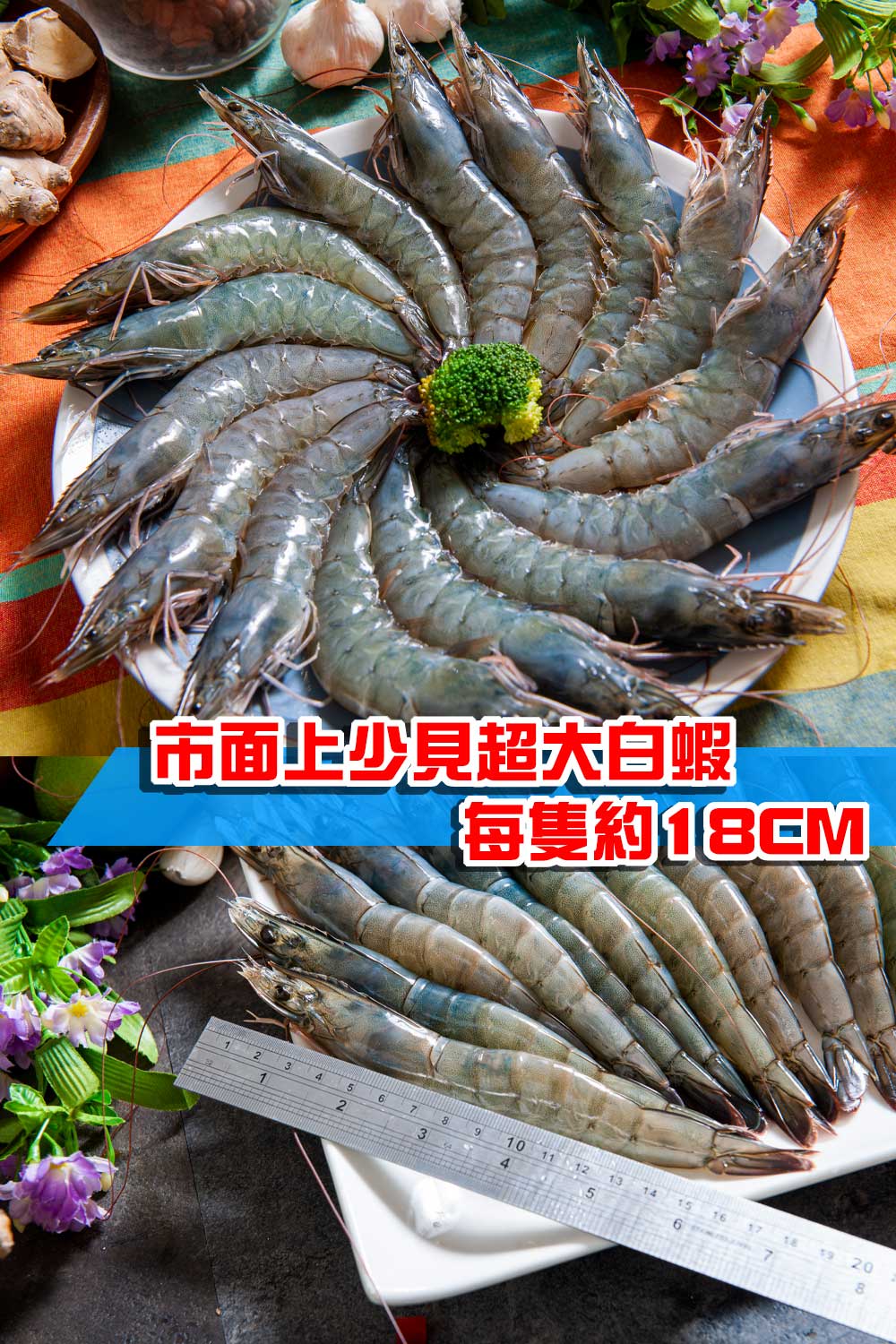【鮮綠生活】巨無霸白蝦蝦后(600克 每盒約16±2尾)