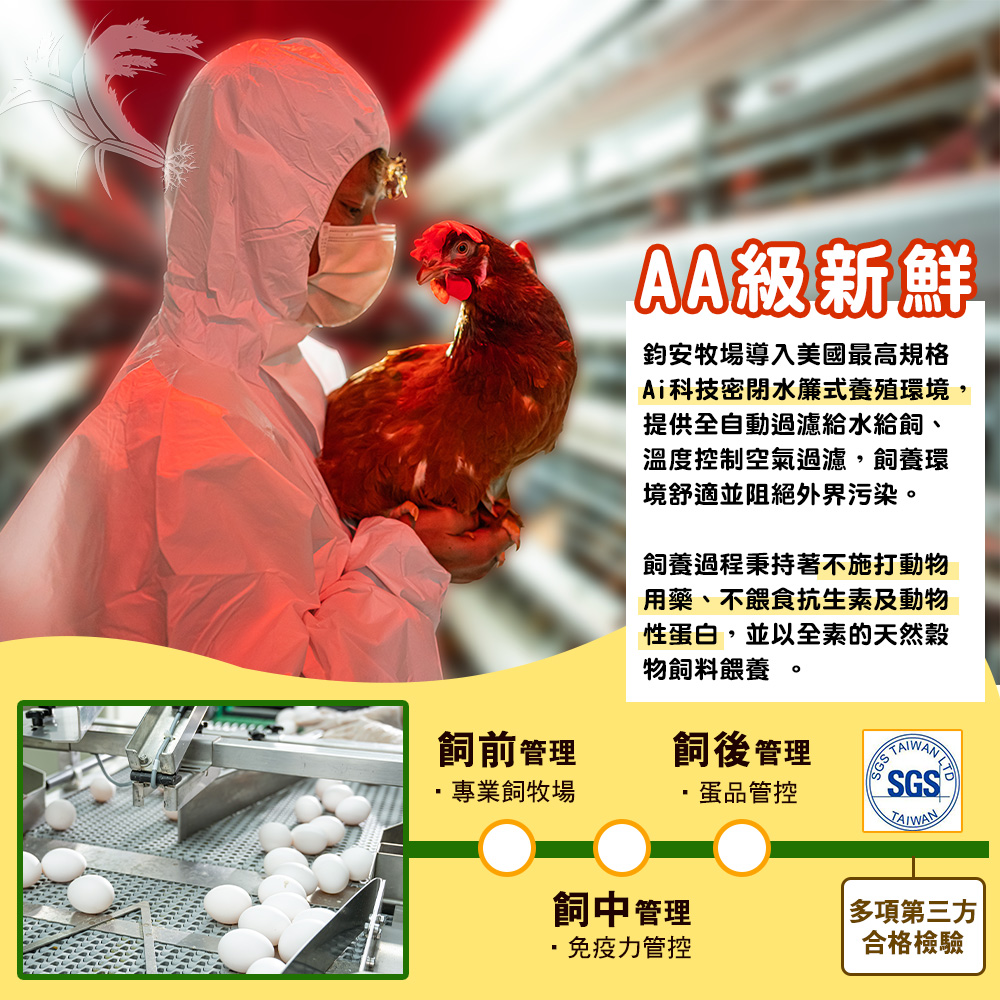 【鈞安牧場】專利配方鎂力機能蛋_白蛋 8顆x3盒 產地直送