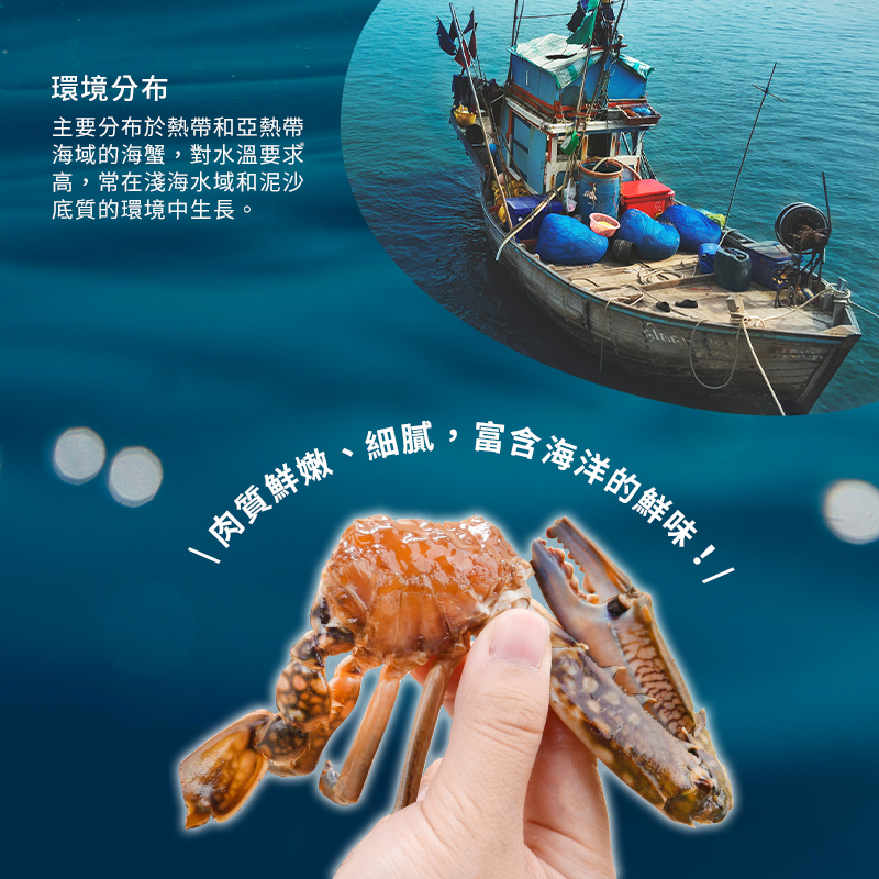 【永東水產】鮮嫩韓味醬蟹300g