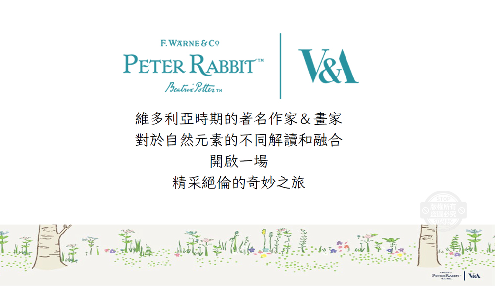 【PETER RABBIT】比得兔V&A博物館聯名抗菌枕 可水洗 台灣製造 枕頭