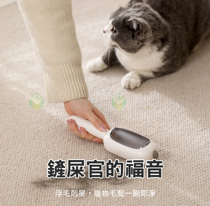 【FaSoLa】不傷衣物手持除毛刷 一刮即淨 毛髮吸附器 寵物除毛器 靜電除毛刷