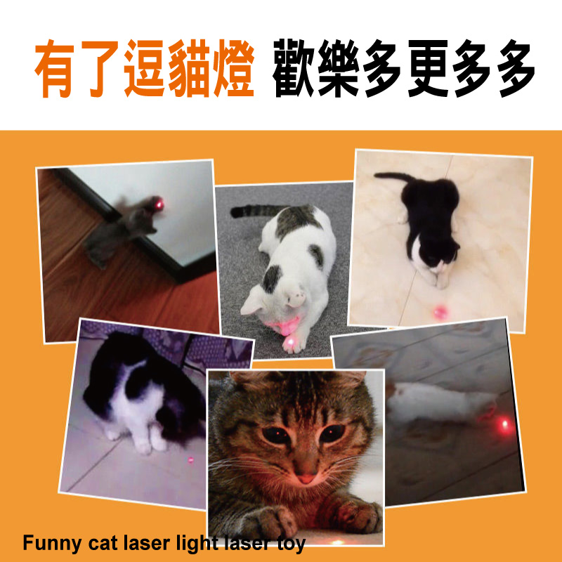 星期逗貓玩具七件組 贈逗貓鐳射激光燈玩具(逗貓棒/貓咪玩具)