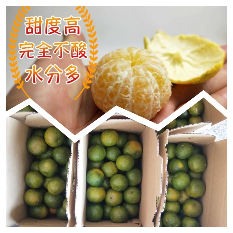 【歐吉商】安心迷你綠皮砂糖橘5台斤