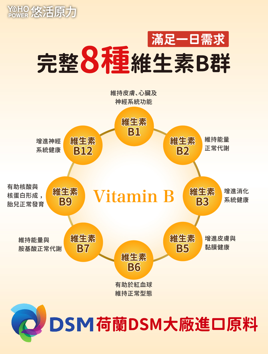 【悠活原力】原力綜合維生素B群(60顆/盒) 緩釋膜衣錠 高單位8種綜合B群