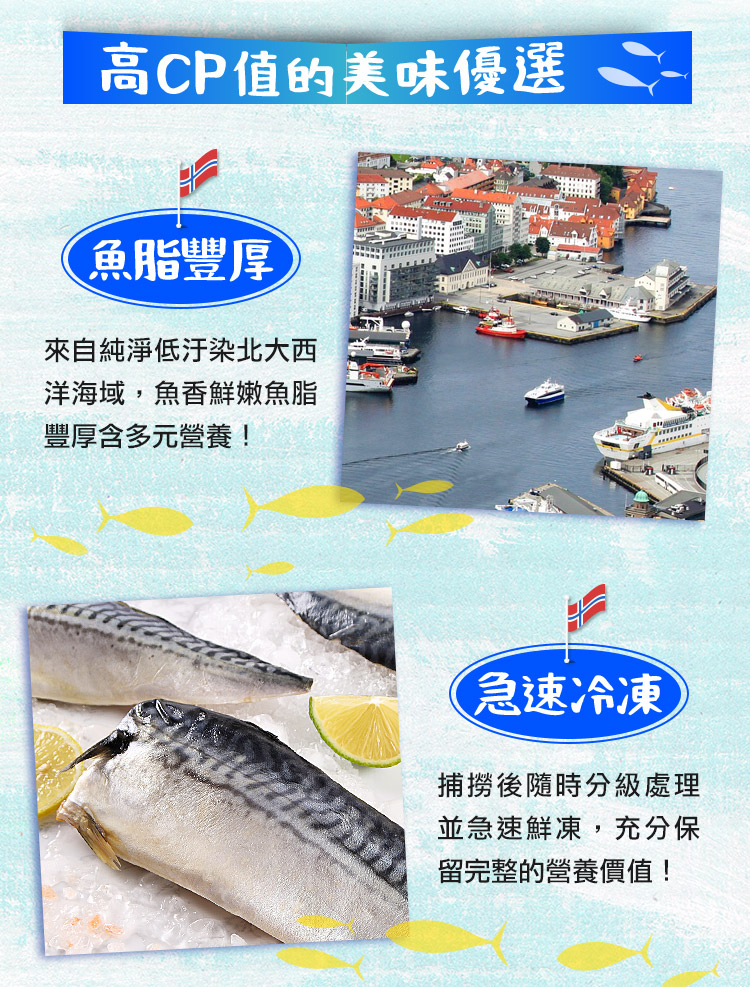 【享吃海鮮】老饕挪威薄鹽鯖魚200g 鯖魚片 鯖魚排