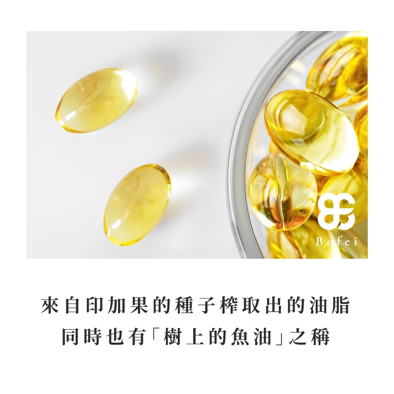 【鉑菲Bofei】印加果油膠囊(60顆/盒) 促進代謝 平衡體內好油 Omega