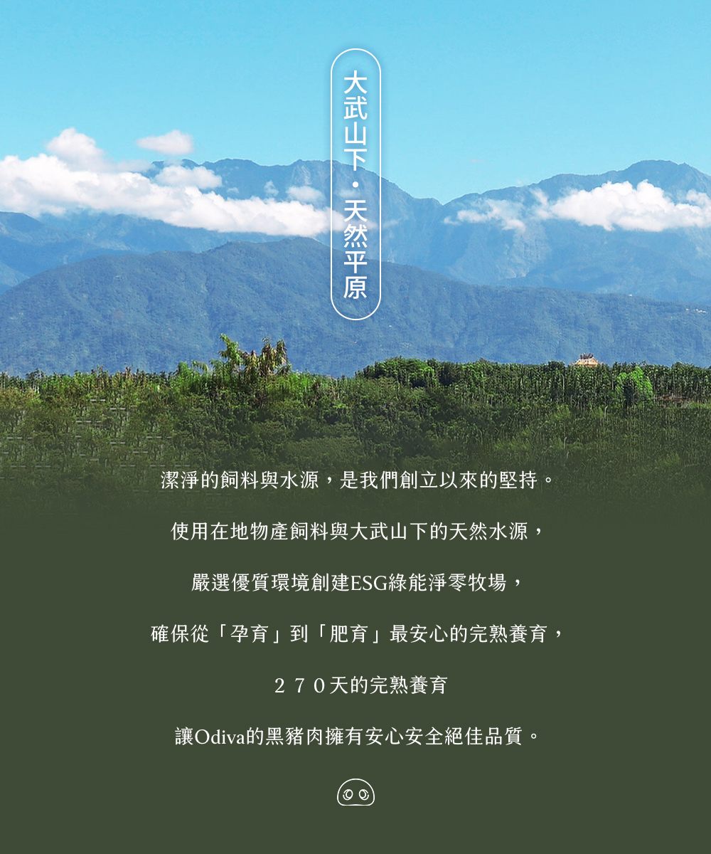 【Odiva】杏仁香脆肉紙禮盒(3盒/組) 0.01cm超薄肉紙 嚴選平埔黑豬肉