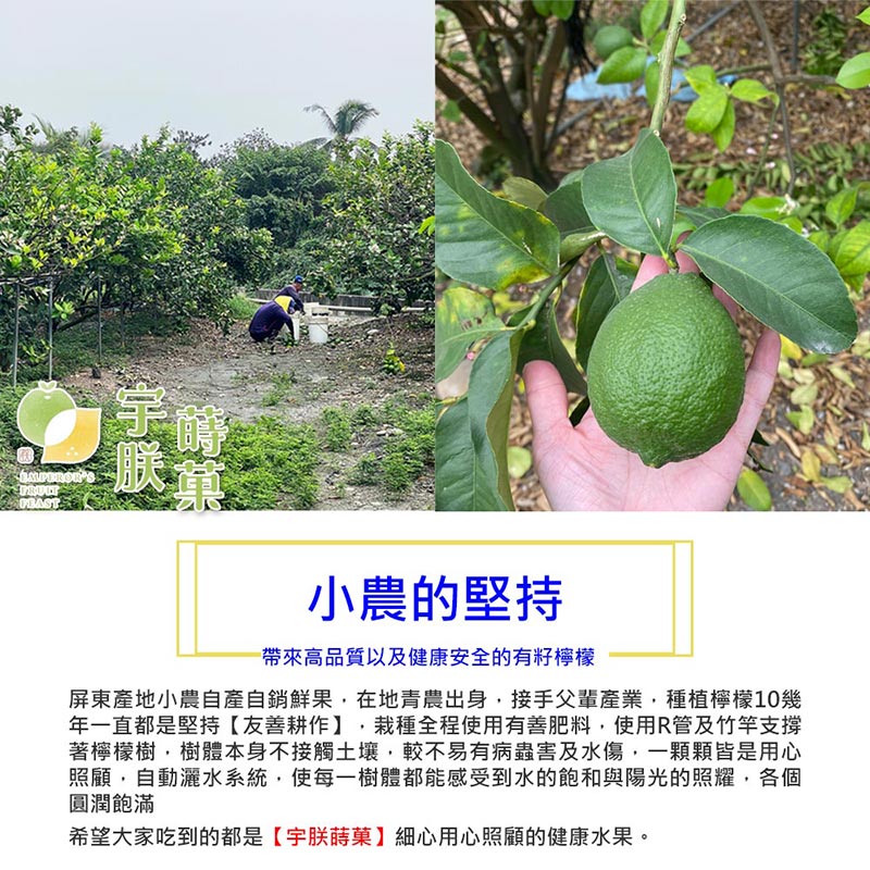 【宇朕蒔果】100%台灣農民直配A級有籽檸檬 3斤/5斤/10斤/箱