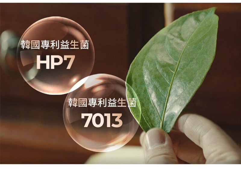 【HY 李敏鎬×宋雨琦代言】Will發酵乳飲料 原味/低脂任選