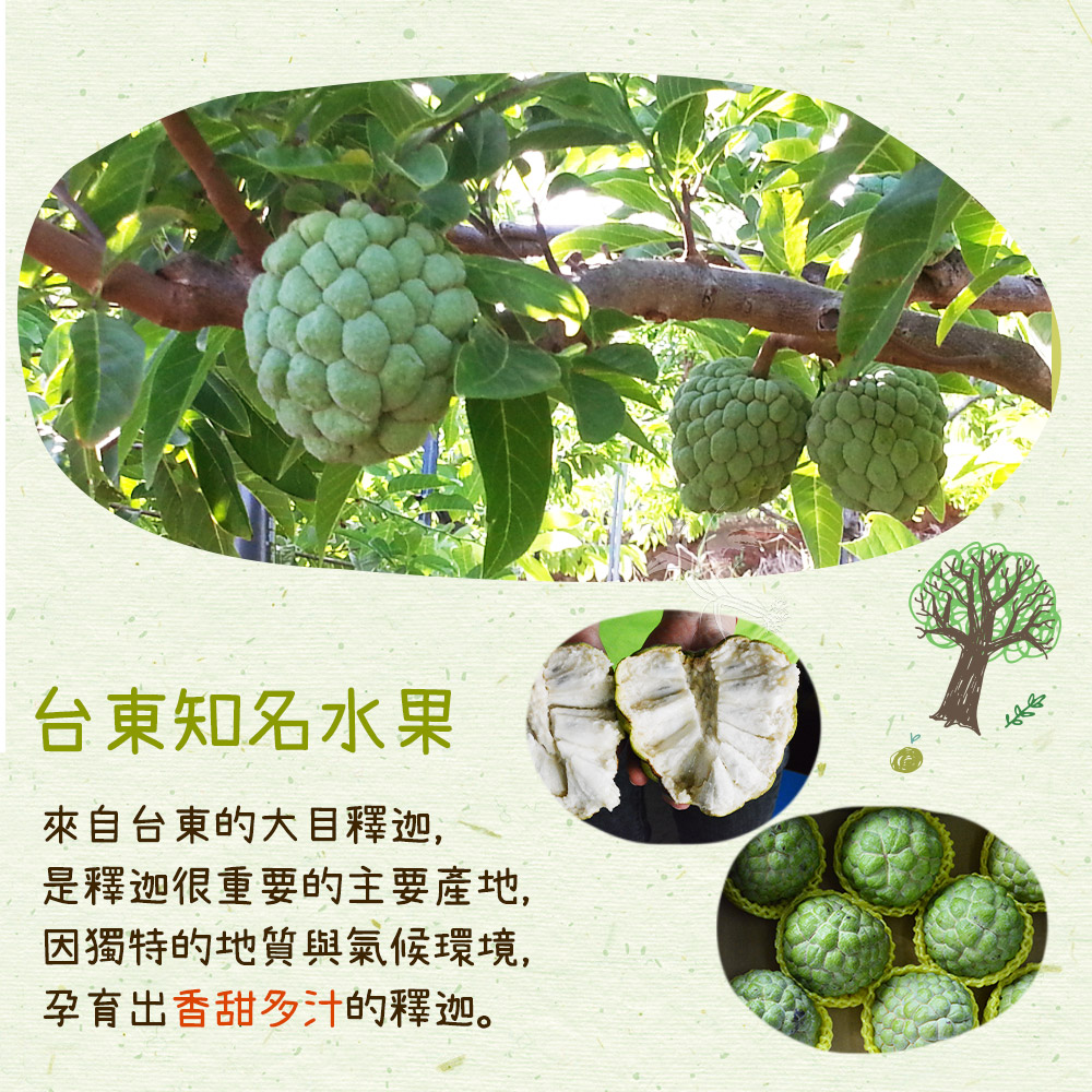  【禾鴻】台東優質大目釋迦5斤／10斤 林檎 番荔枝 水果