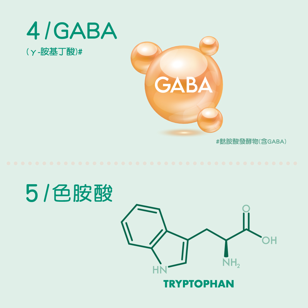 【善存】舒眠益生菌膠囊(60粒/盒) 番紅花 芝麻素 GABA 色胺酸
