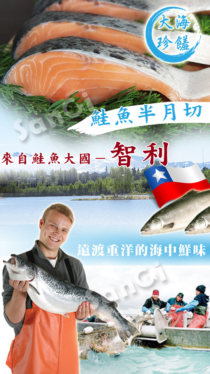 【賣魚的家】新鮮智利半月切鮭魚片375g/包，3片/包 進口海鮮/智利鮭魚