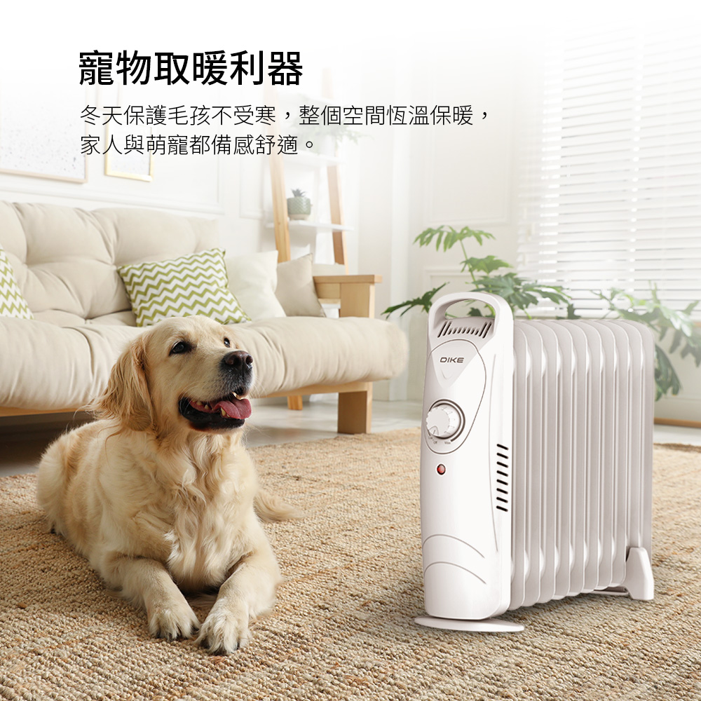 【PHILIPS】雙人加大電熱毯AHR3144ED贈恆溫電暖器HLE600WT