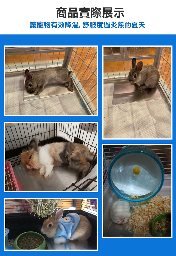 寵物涼感降溫散熱鋁板 小/中/大/特大 散熱/可水洗/防刮包膜