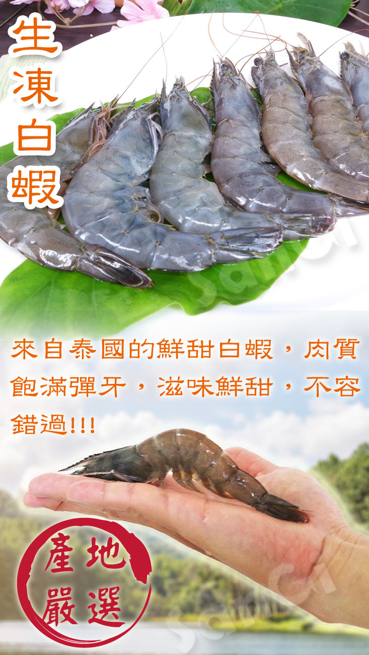 【賣魚的家】泰國生凍大白蝦 約15-18尾/盒