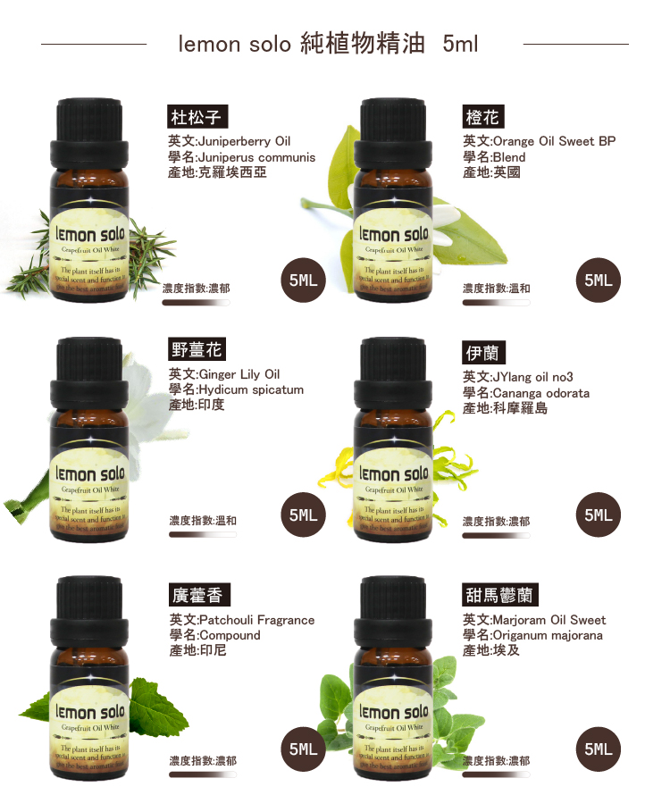 LM尖頭大容量香薰機 贈10ml精油