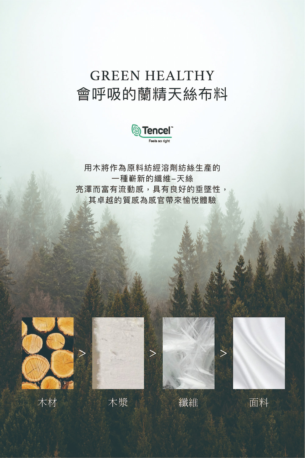台灣製 3M天絲床包組兩用被組 單人/雙人/加大/特大