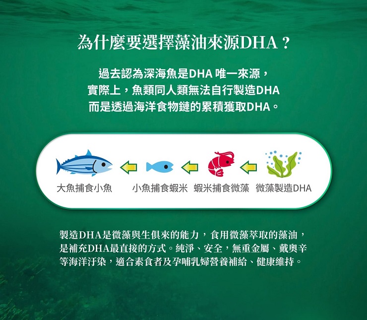 【義美生醫】顧記池藻油(60粒/盒) DHA藻油素食膠囊