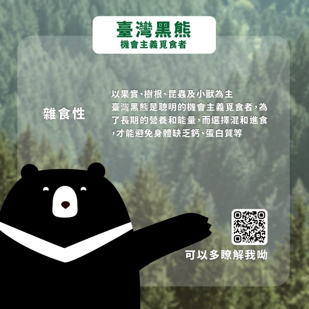 【臺北市立動物園】100%生乳保久乳 200ml 台灣黑熊款 牛乳 牛奶